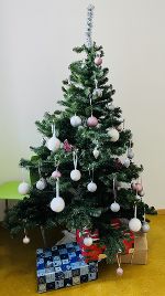 schöner Christbaum im Trakt schöner Christbaum im Trakt