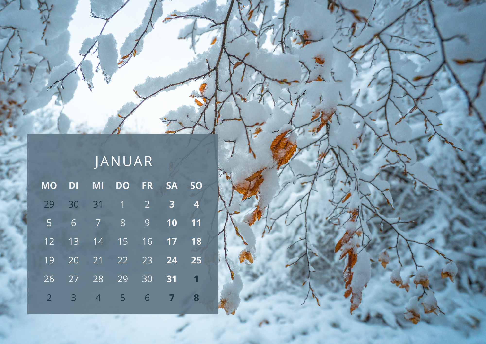 Jänner-Kalender, im Hintergrund ein verschneiter Wald