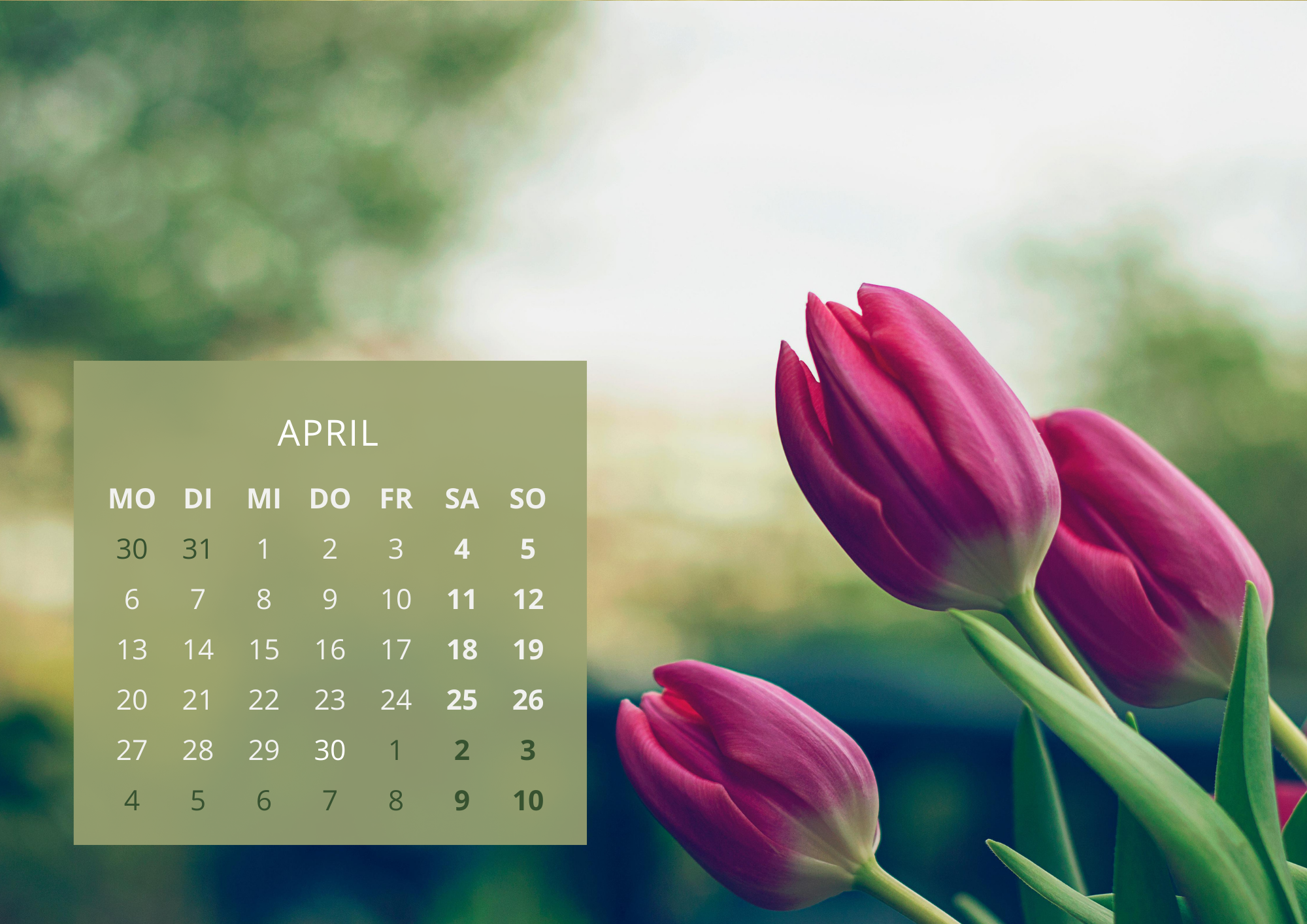 Aprilkalender mit Tulpen im Hintergrund