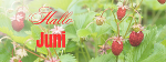 Jugendsporthaus Schladming © Canva, JSH