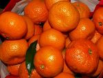 Köstliche Mandarinen