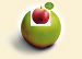 Styria Vitalis - gesund essen Styria Vitalis - gesund essen
