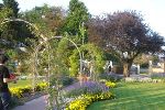 Blumenpracht