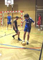 Hallensport