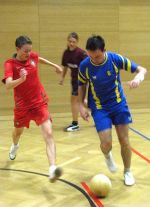 Hallensport