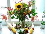 Herbstimpressioen