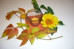 Herbst © ck