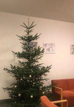 Weihnachtliche Dekoration